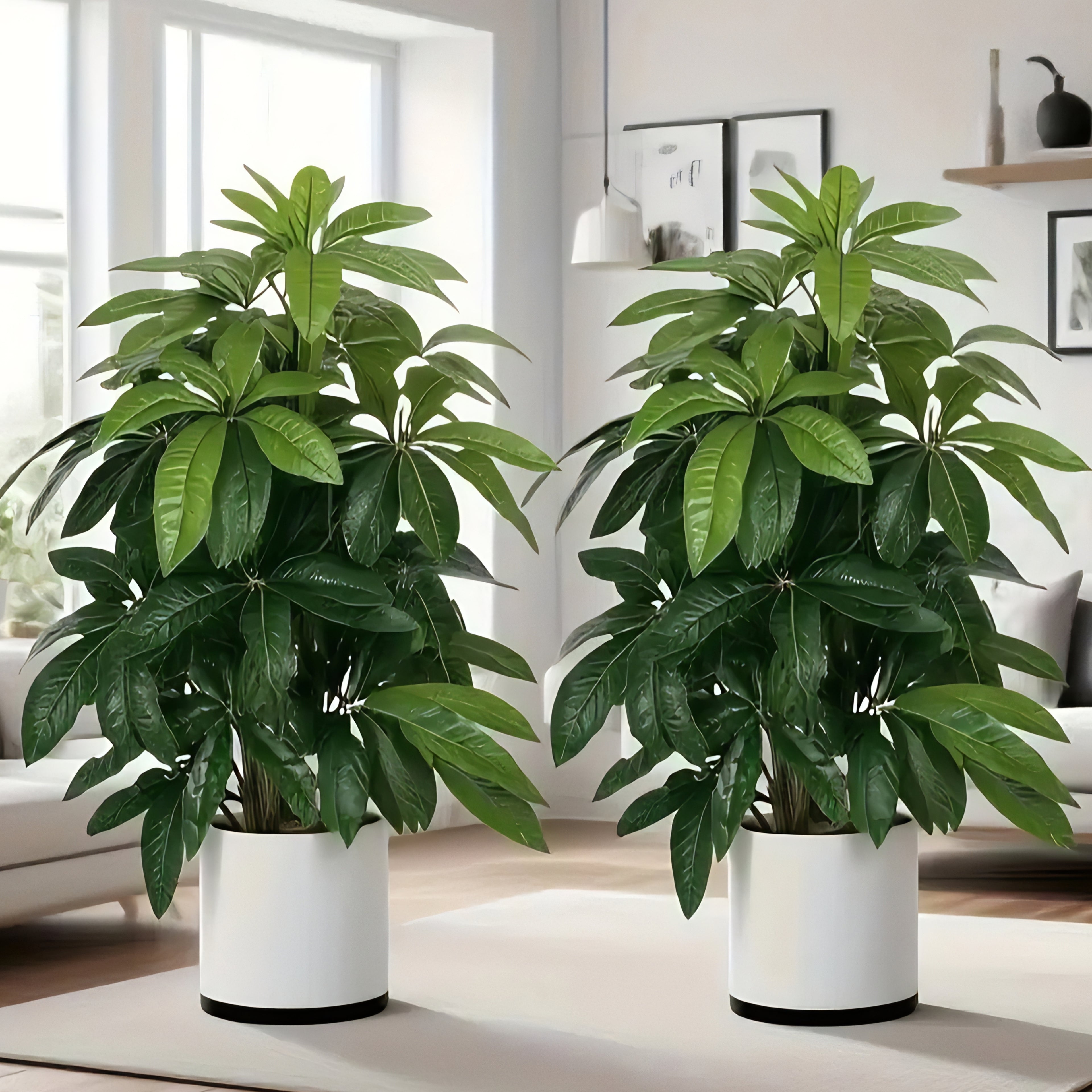 Artificial Money Tree Palm