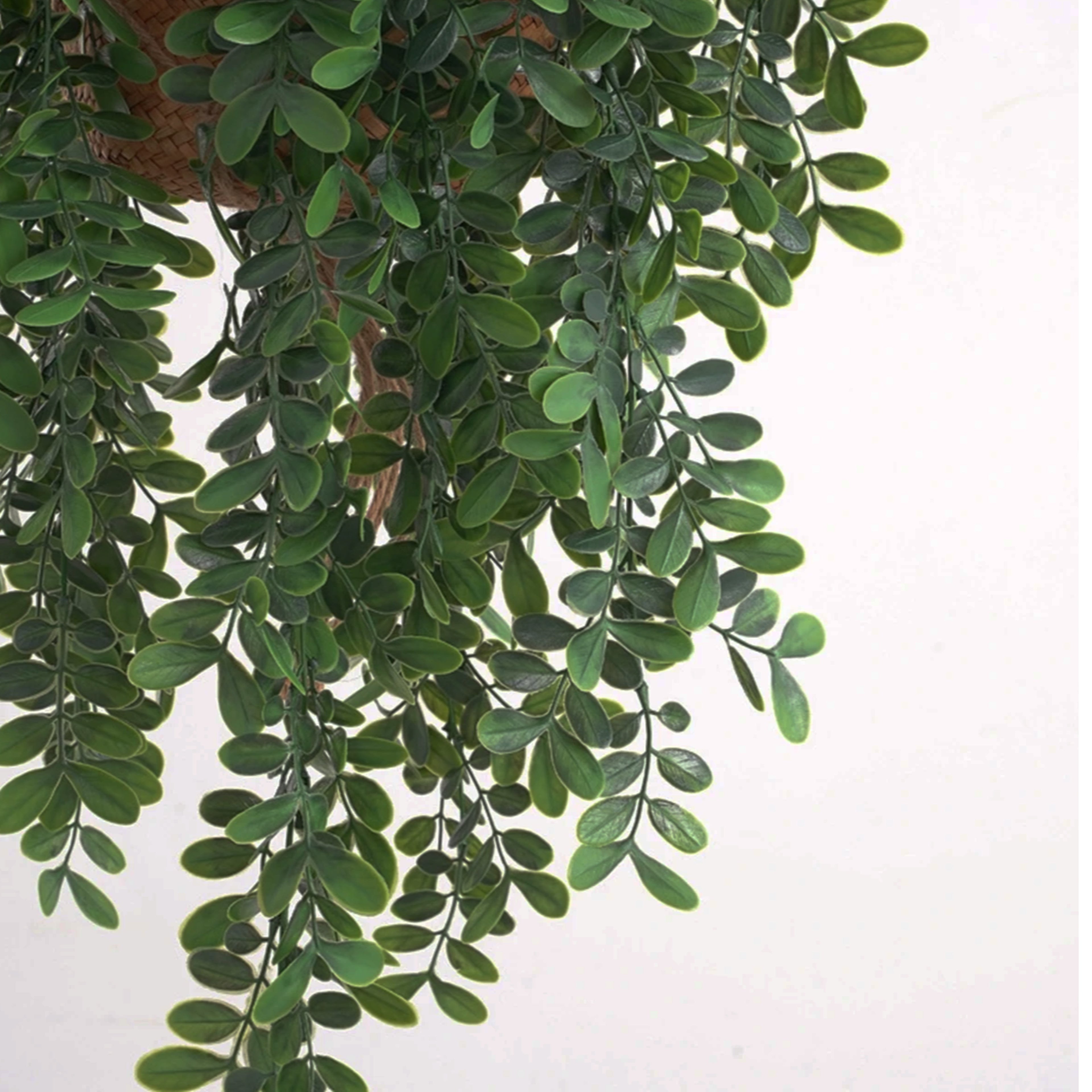 Artificial Ivy Plant