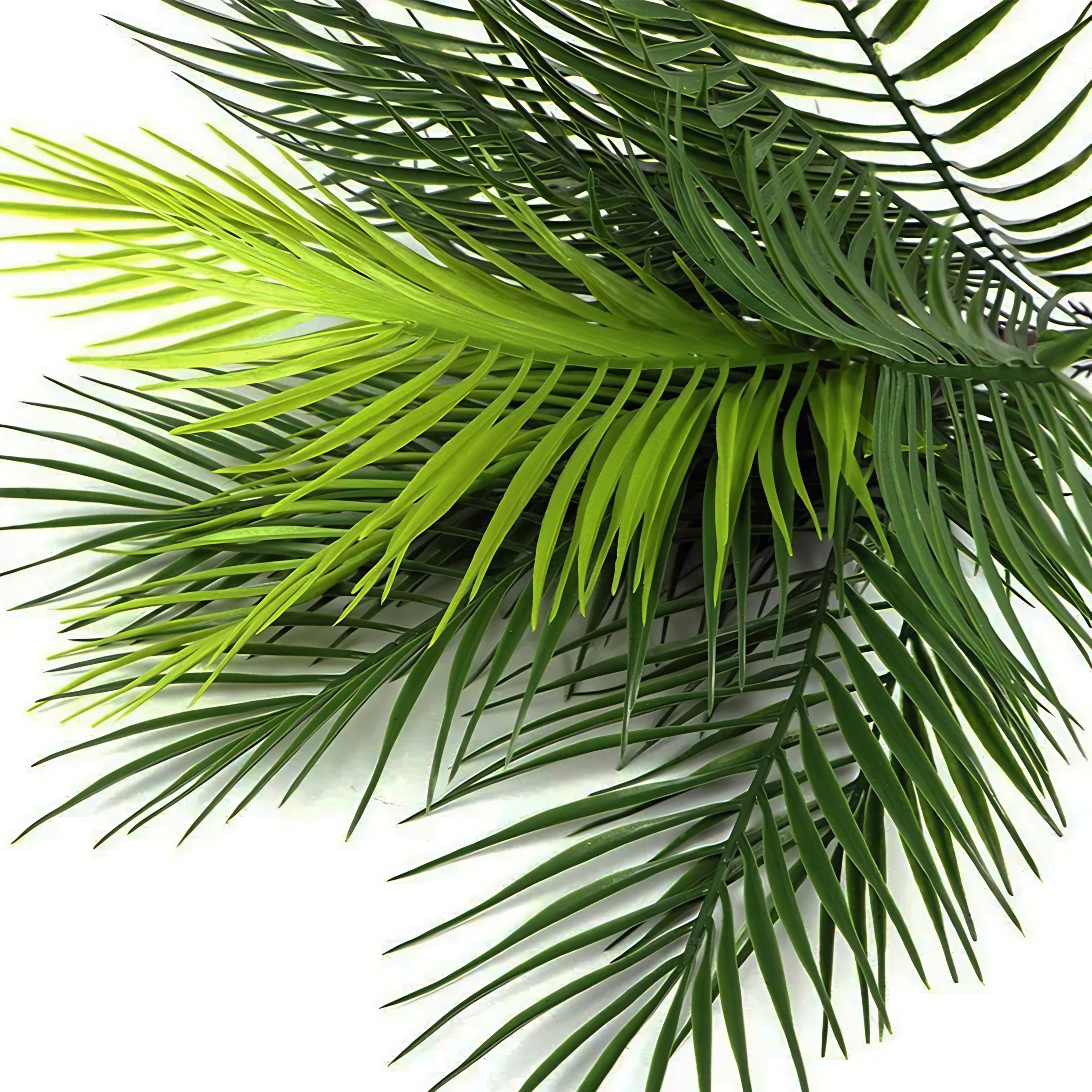 Artificial Tropical Plants Palm Plant